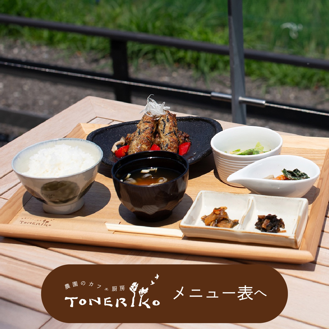 そら野テラス - 高い空の下、角田山を背景に田園の大パノラマを体で