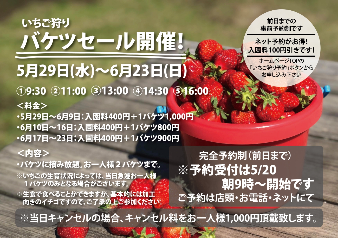 いちこ様　お見積もりページ いちご狩りバケツコースのお知らせ | そら野テラス
